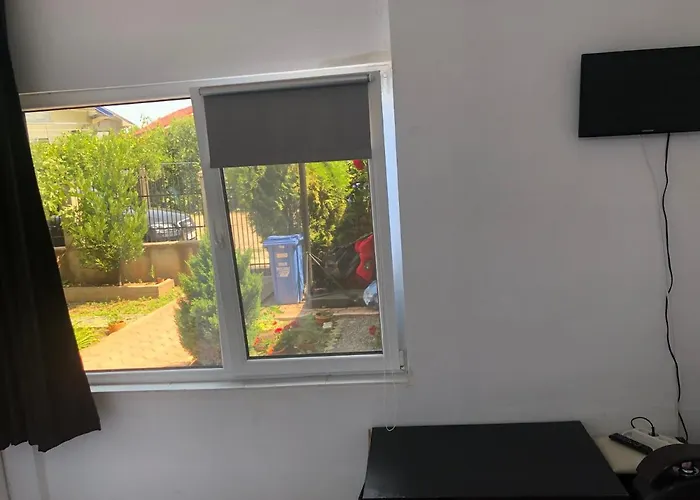 Проживание в семье Casa Vio Parter